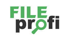 FileProfi - профессиональное восстановление данных в Ижевске